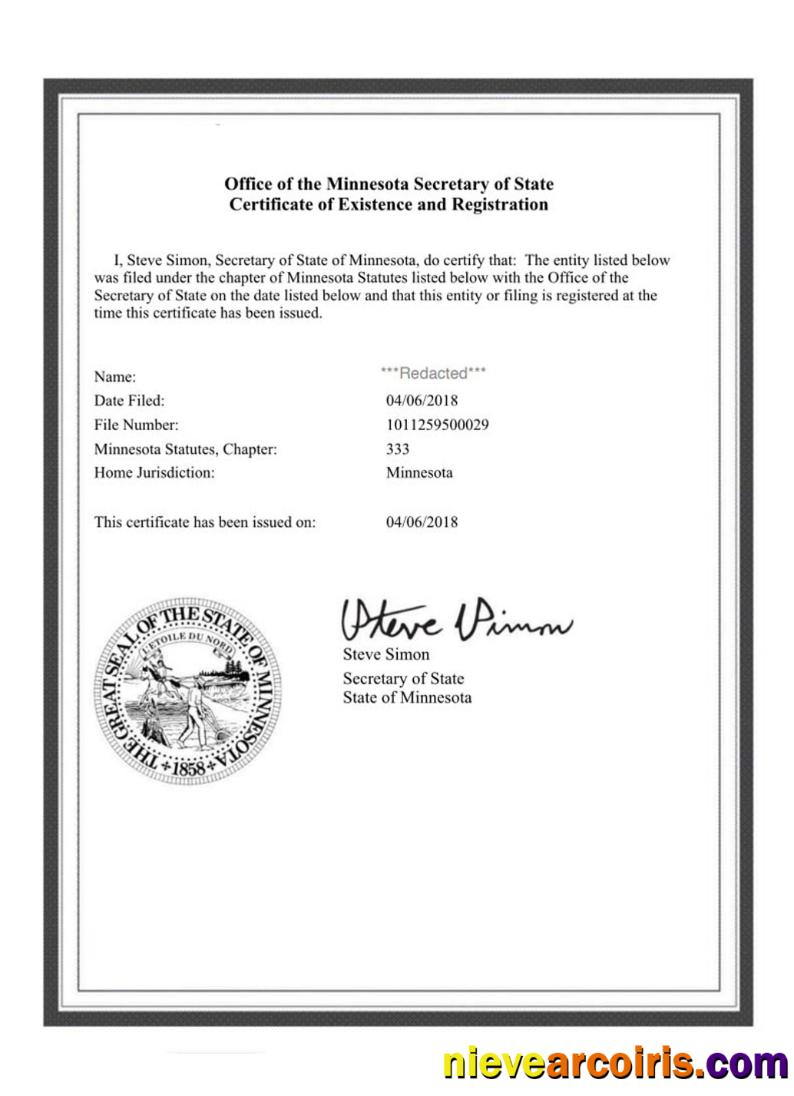 USA Minnesota certificate of good standing